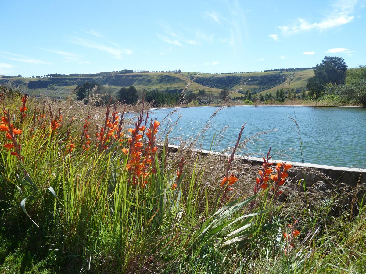Drakensberg Inkosana Lodge Champagne Valley Exterior photo